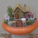 Melissa Harry - @mels_garden_oasis - Instagram