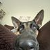 Melissa Frendak Hartz - Facebook