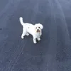 Melissa Hassell - @bellatheedog - TikTok
