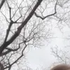 user7888619257397 - @melissahaught134 - TikTok