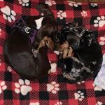 Melissa Hawsman - @melissahawsman - Instagram