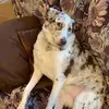 melissahealey6 - @melissahealey6 - TikTok