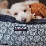 Melissa Heaney - @heaneymj30 - Instagram
