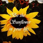 Melissa Gould - @melissahedger75 - Instagram