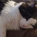 Melissa Hedlund - Facebook