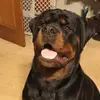 melissawiesheier - @melissawiesheier - TikTok