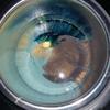 wax satisfying - @melissaheil11 - TikTok