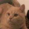 Melissa - @melissa.hellmann3 - TikTok