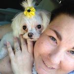 Melissa Dillon Hellman - @mkdillon35 - Instagram