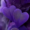 Melissa - @melissahendricks455 - TikTok
