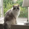 Me1issa - @melissahenriksson - TikTok