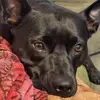 Melissa Hickok - @melissahickok - TikTok