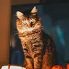 Melissa Hirt - @checkit.out - TikTok