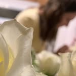 Melissa Cannon Hislop - @melissabelissa1 - Instagram