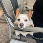 Melissa Hobby - @mayham2007 - Instagram