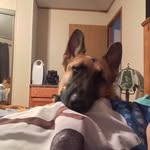 Melissa Hoffart - @coffeethecat2004 - Instagram