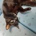 Melissa Howarth - Facebook