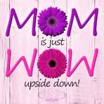 Melissa Howington - Facebook