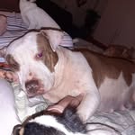 Melissa Huether - @huether6307 - Instagram