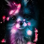 melissa.hulin - @priver.57 - Instagram