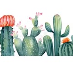 Melissa Humes - @rocking_cactus_design_co - Instagram