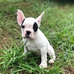 Melissa Humes - @rockingcactusmisslilybelle - Instagram