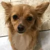 Melissa.arceo - @melissahuskey1429 - TikTok