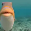 melissahutter7 - @melissahutter7 - TikTok