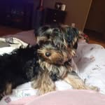 Melissa Imes - @mouse33 - Instagram