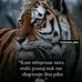 Melisa Jaupa - Facebook