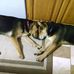 Melissa Jacoby - Facebook