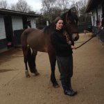 Melissa Jarman - @melissa_equestrian - Instagram