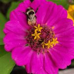 Melissa Gottwald Jessen - @mcjessen01 - Instagram
