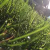 melissakamp - @melissakamp - TikTok