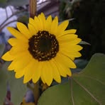 Melissa Kampf - Facebook
