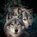 Melissa Kampmann - Facebook