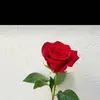 melissakessy5 - @melissakessy1 - TikTok