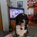 Melissa Kestner - Facebook