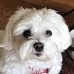 Melissa Klass - @mmk9801 - Instagram