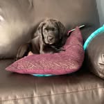 Melissa Klassen - @mapc331 - Instagram