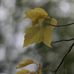 Melissa Klassen Photography - Facebook