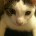 Melissa Knopp - Facebook