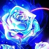 melissaknopp91 - @melissaknopp91 - TikTok