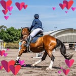Melissa Koop - @me10drama - Instagram