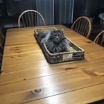 Melissa Koss - @melissakoss227 - Instagram