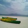 Melissa Koss $$$ - @user5382136863214 - TikTok