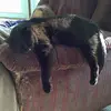 melissakrawczak36 - @melissakrawczak36 - TikTok