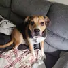 melissakrawz - @melissakrawz - TikTok
