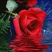 Melissa Krone - Facebook