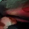 melissakwan285 - @melissakwan285 - TikTok